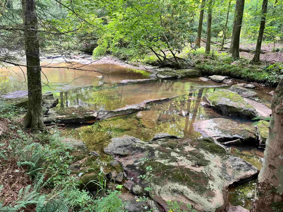 1735 Heavner Grove Road, Buckhannon, WV 26201 - #3
