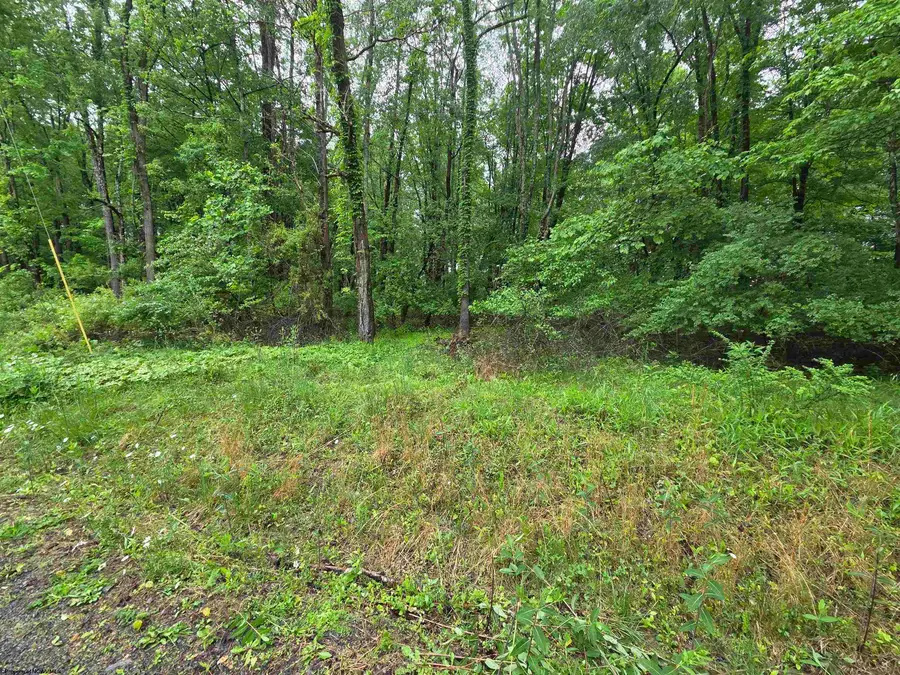 TBD Battle Street, Parsons, WV 26287 - #2