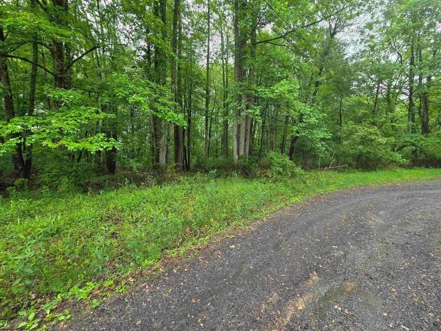 TBD Battle Street, Parsons, WV 26287 - #3