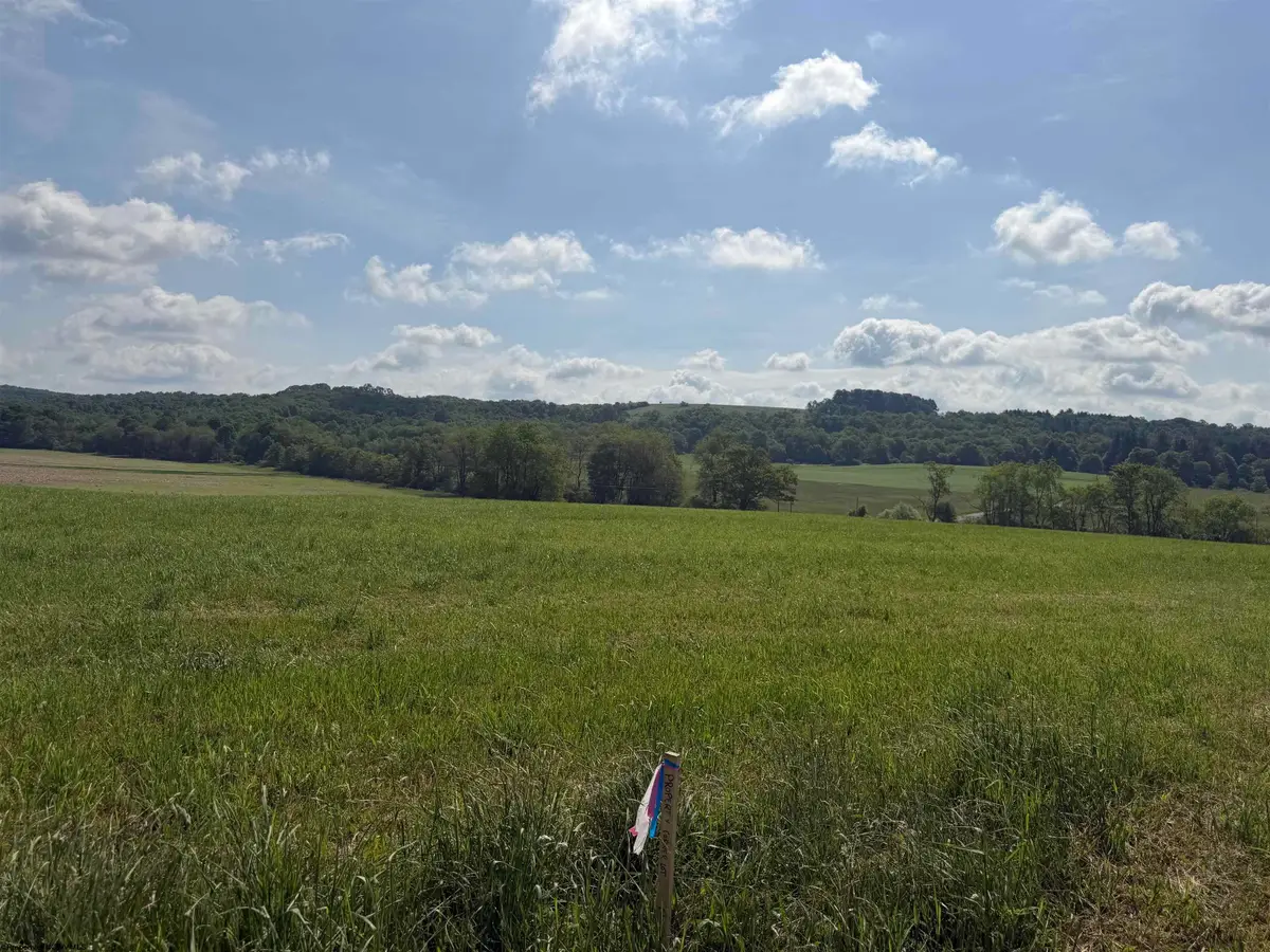 002 Clifton Salem Road, Bruceton Mills, WV 26525 - #1