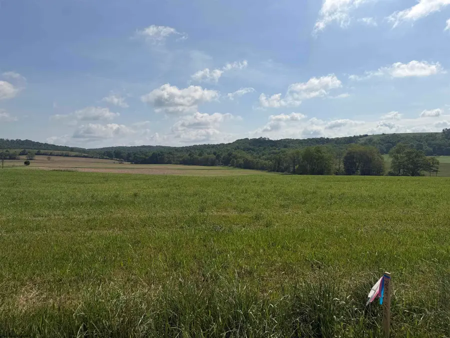 002 Clifton Salem Road, Bruceton Mills, WV 26525 - #2