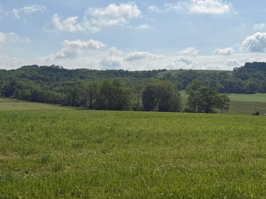 002 Clifton Salem Road, Bruceton Mills, WV 26525 - #3