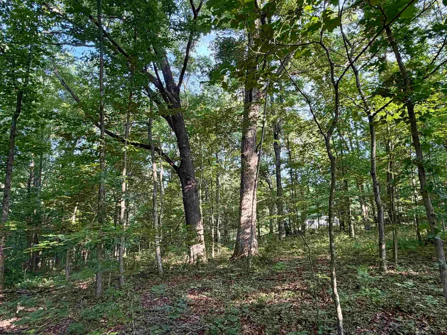 0 Parkersburg Road, Ripley, WV 25271 - #2
