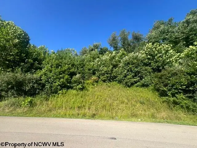 Lot 3 & 4 David Daniels Drive, Fairmont, WV 26554 - #3