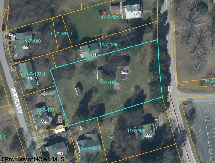320 Tunnelton Street, Kingwood, WV 26537 - #2