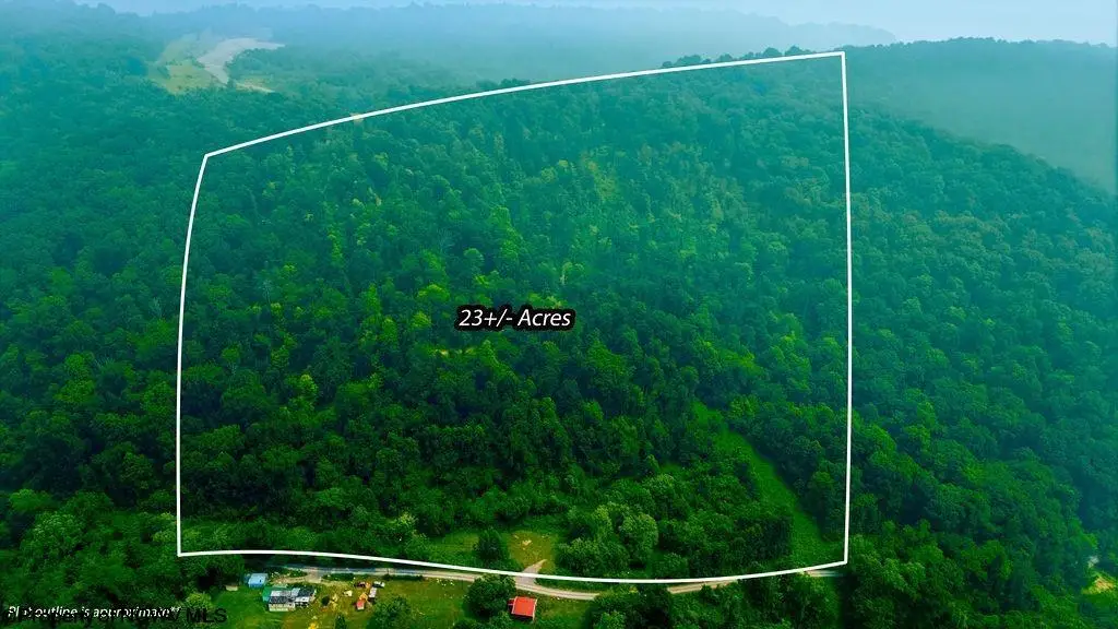 000 Bices Run Road, Enterprise, WV 26568 - #1