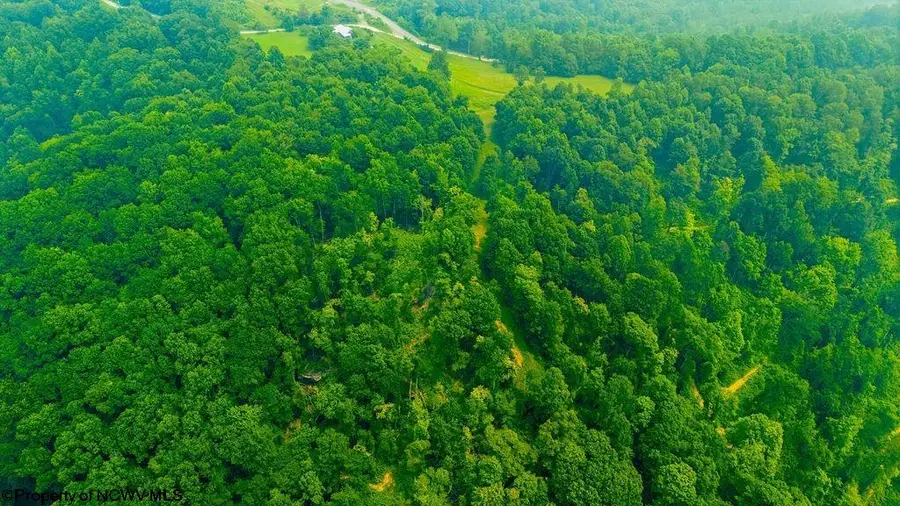 000 Bices Run Road, Enterprise, WV 26568 - #3