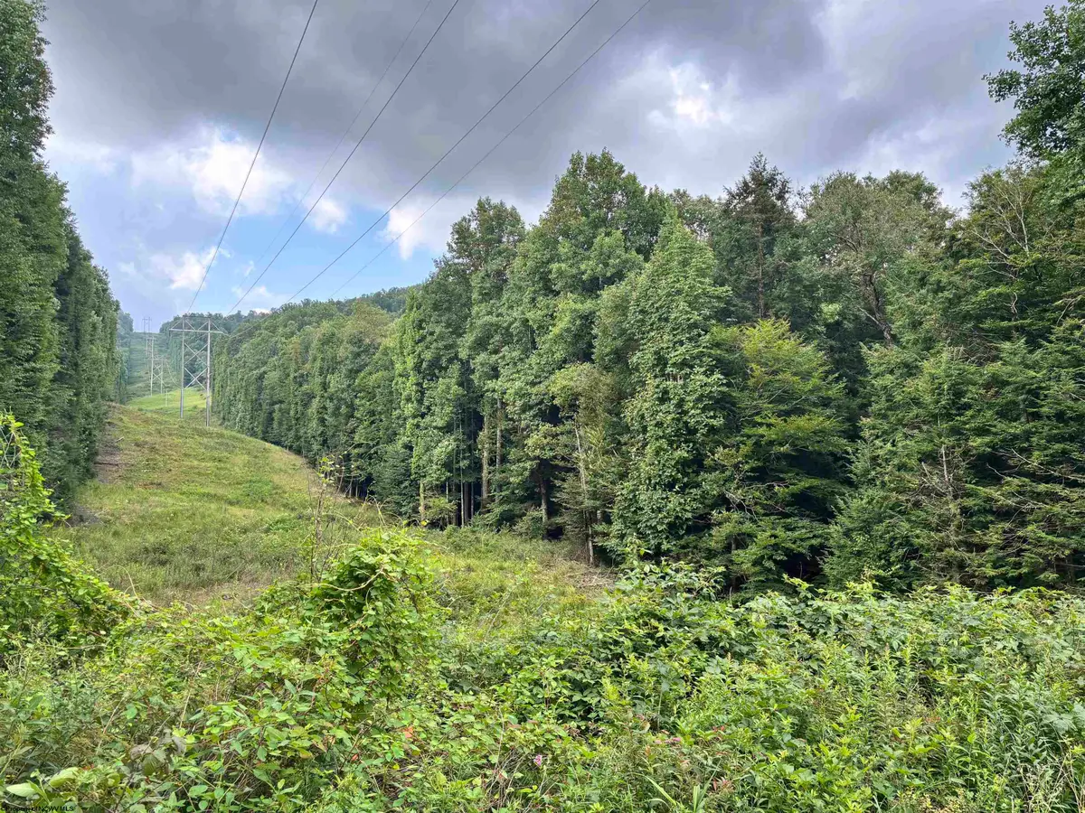 469 Karlan Road, Pickens, WV 26230 - #1