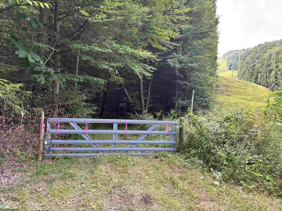 469 Karlan Road, Pickens, WV 26230 - #2