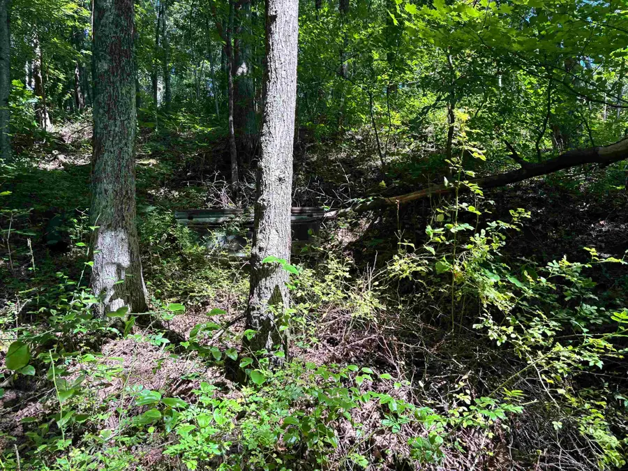 110 Danner Road, Belington, WV 26250 - #2