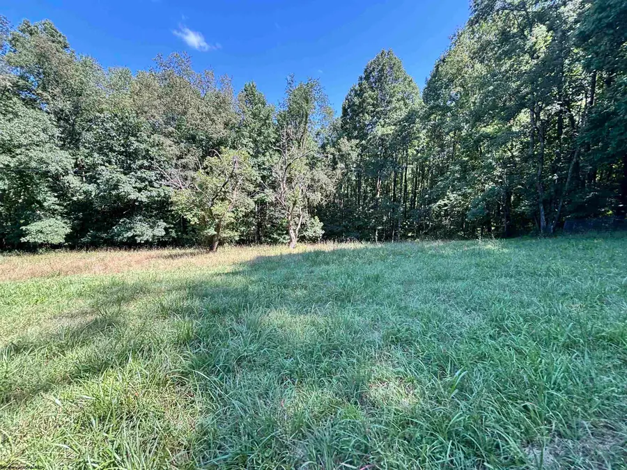 110 Danner Road, Belington, WV 26250 - #3
