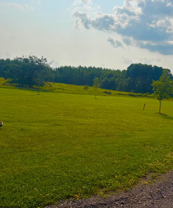 Lot 3 Katy Lane, Davis, WV 26260