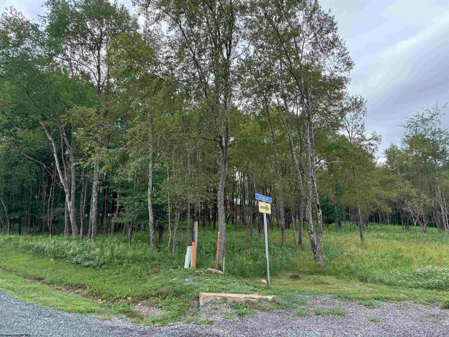 Boeing Lane, Davis, WV 26260 - #3