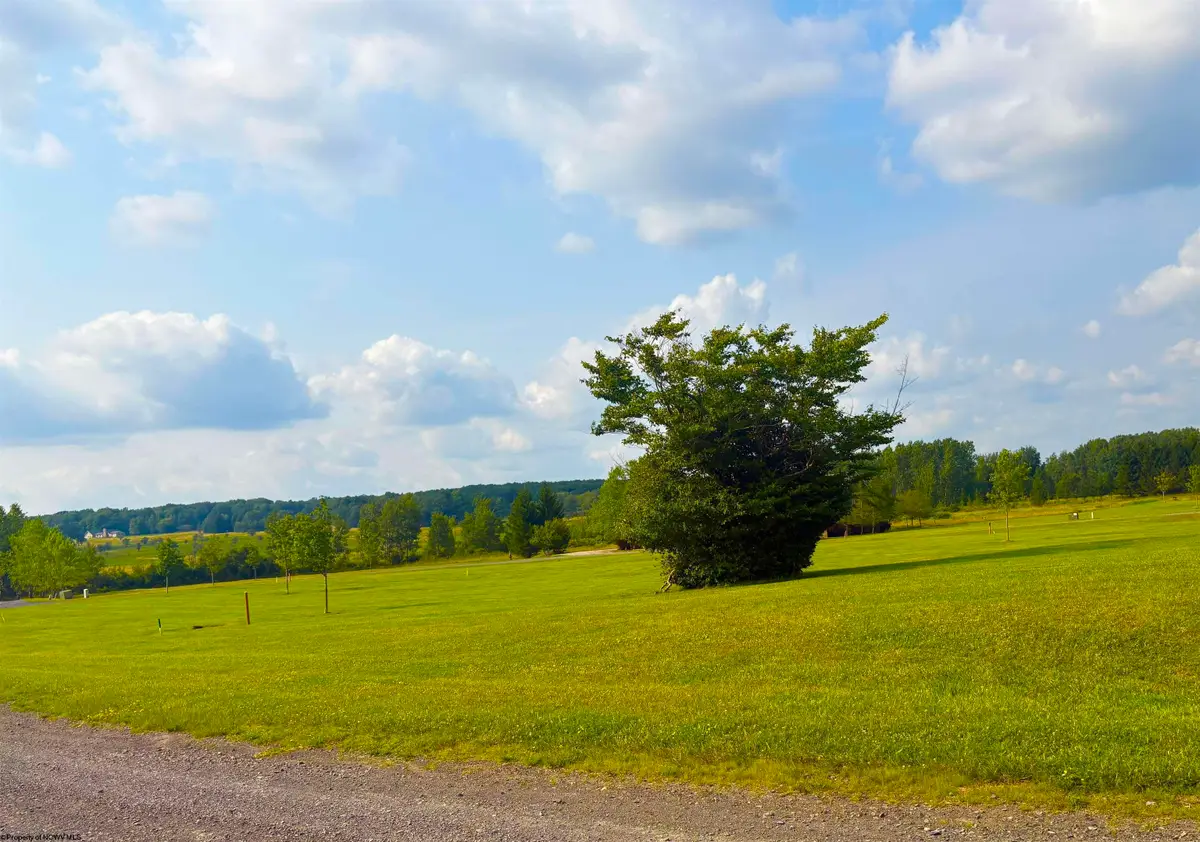 Lot 24 Katy Lane, Davis, WV 26260 - #1