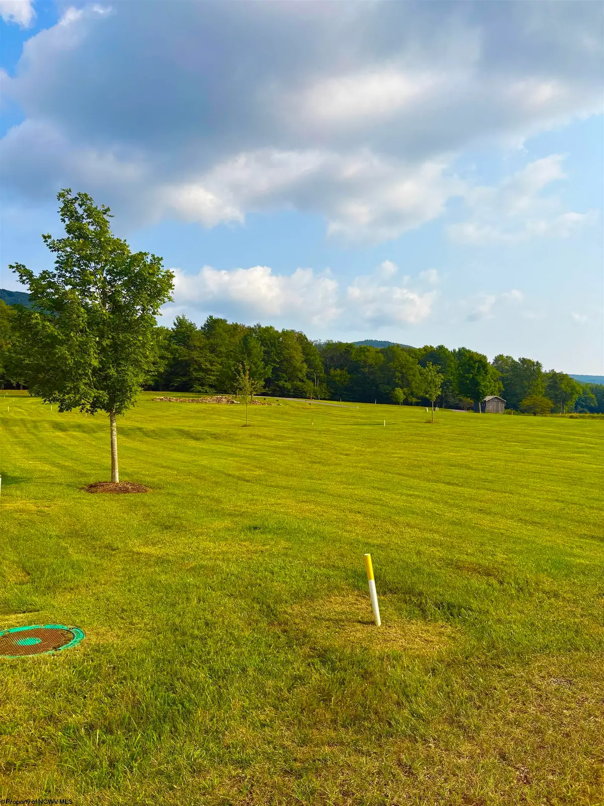 Lot 26 Katy Lane, Davis, WV 26260 - #1