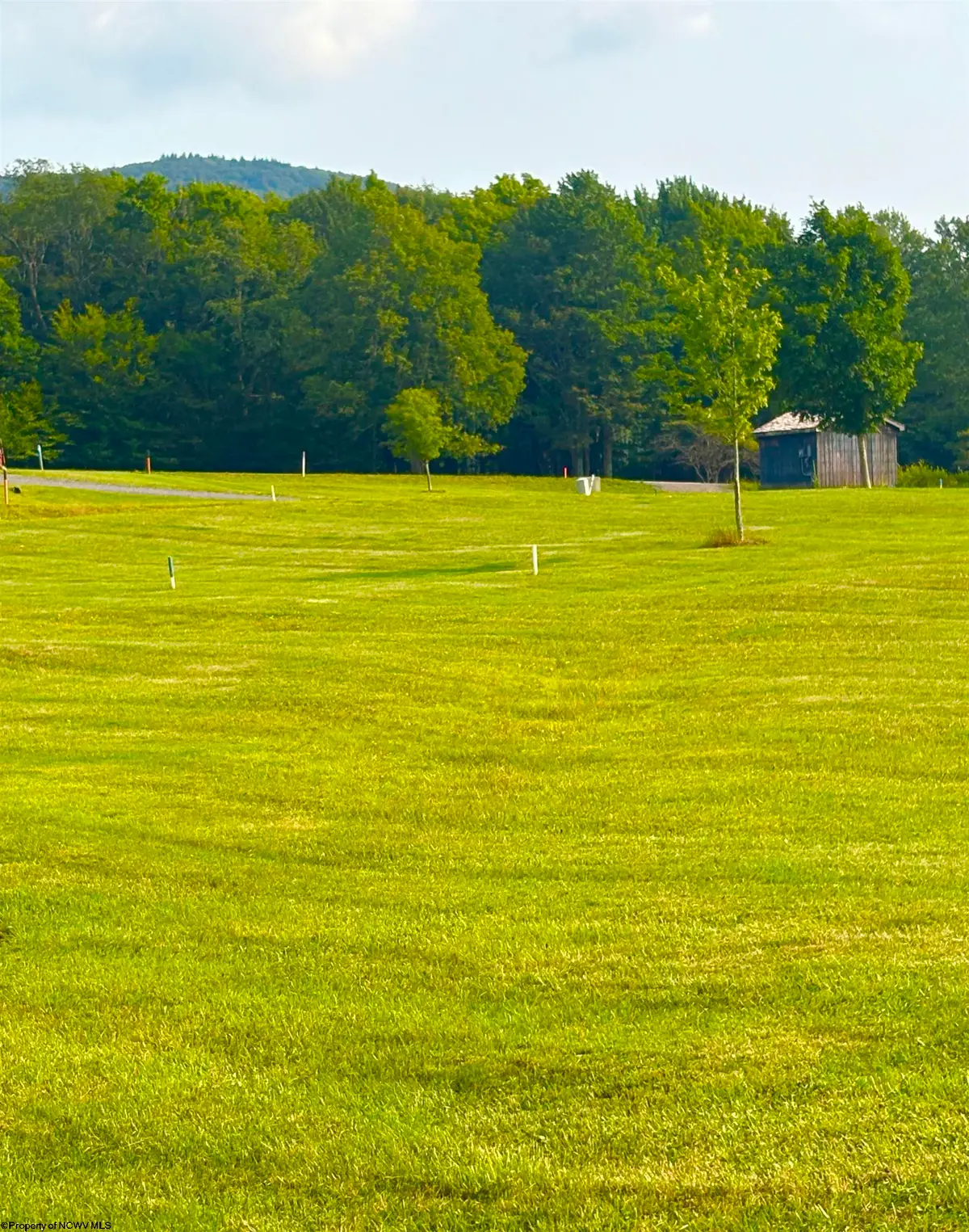 Lot 31 Katy Lane, Davis, WV 26260 - #1