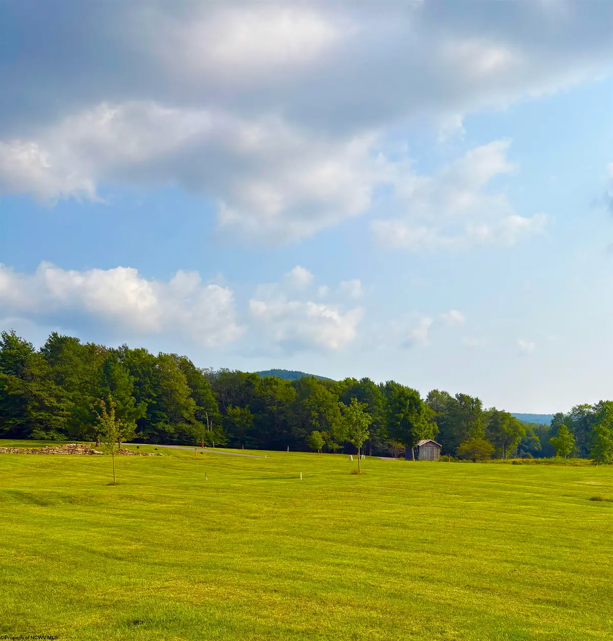 Lot 29 Katy Lane, Davis, WV 26260 - #1