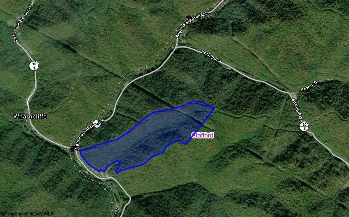 TBD Family Lane, Wharncliffe, WV 25651 - #1