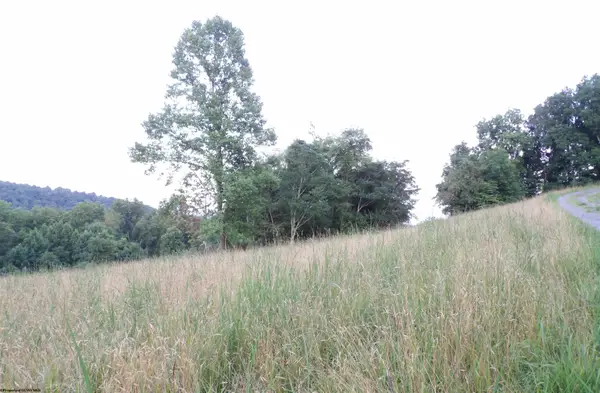 TBD Lakeview Drive, Grafton, WV 26354