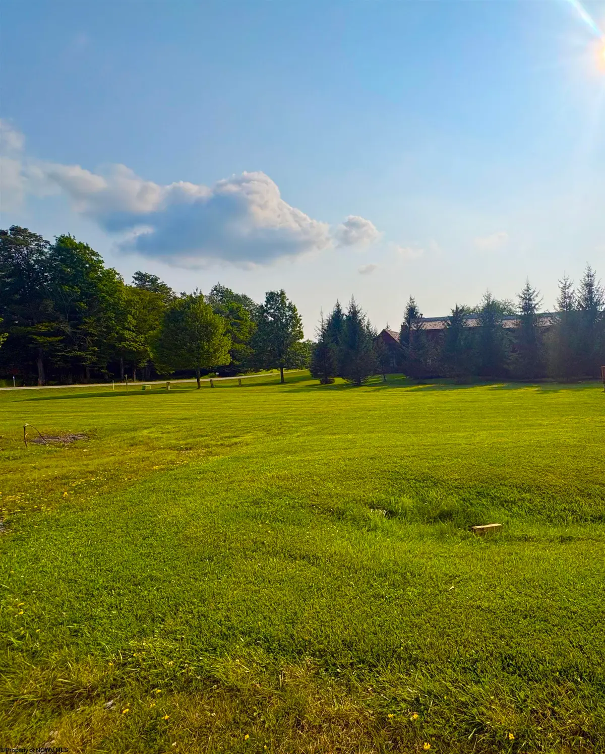 Lot 41 Penny Lane, Davis, WV 26260 - #1