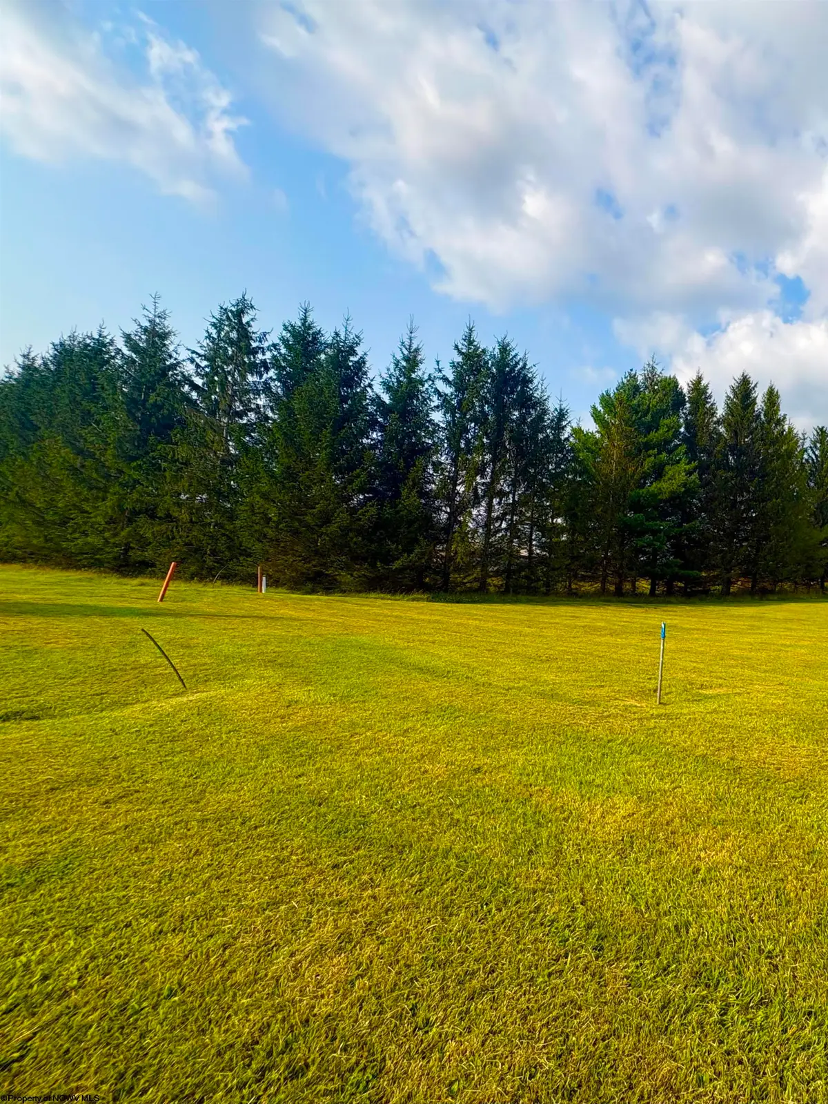 Lot 47 Penny Lane, Davis, WV 26260 - #1