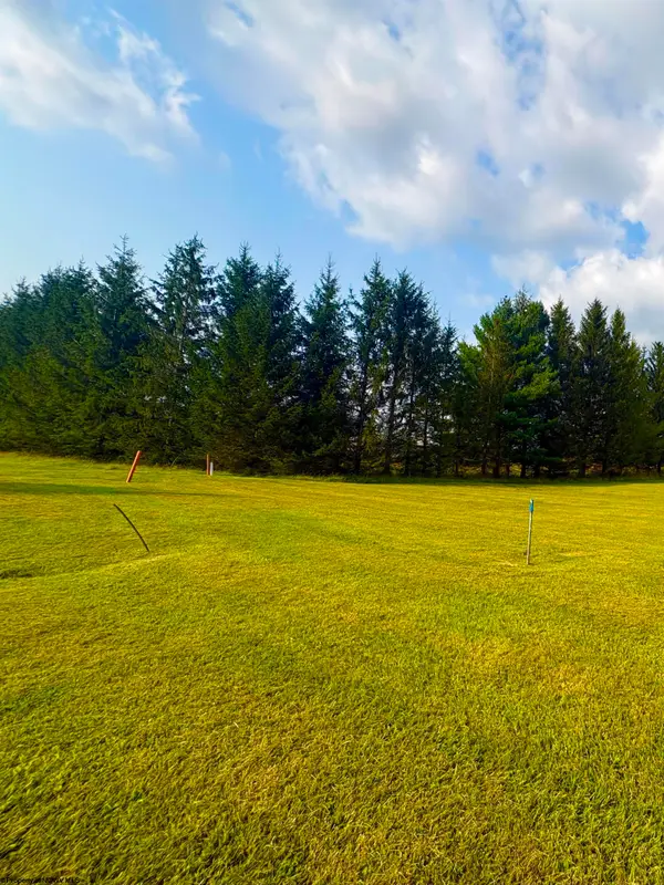 Lot 47 Penny Lane, Davis, WV 26260