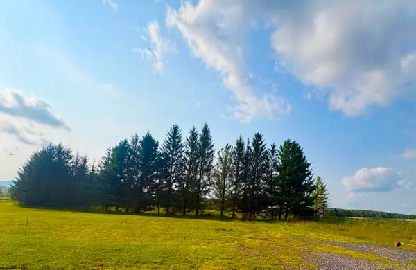 Lot 48 Penny Lane, Davis, WV 26260