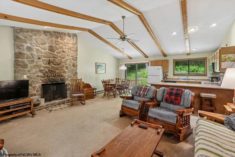 352 Ridge Road, Davis, WV 26260 - #3