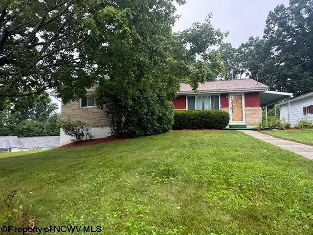 310 Pratt Avenue, Kingwood, WV 26537 - #2