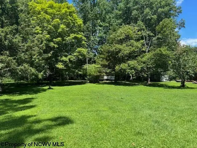 TBD Brooklyn Heights Road, Parsons, WV 26287 - #1
