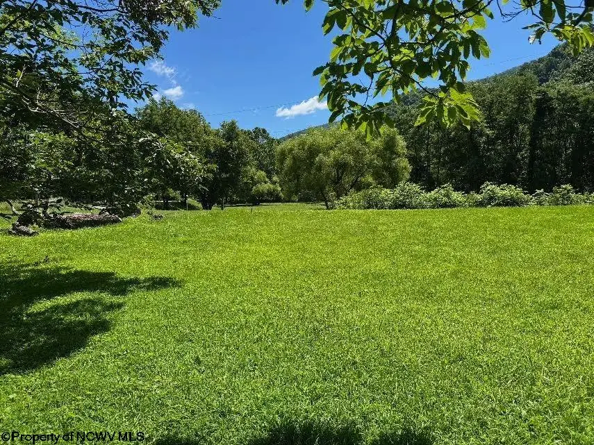 TBD Brooklyn Heights Road, Parsons, WV 26287 - #2