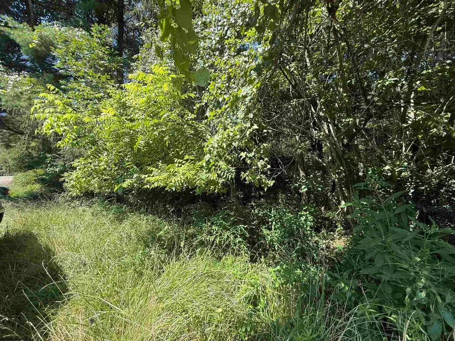 TBD Simpson Road, Flemington, WV 26347 - #2