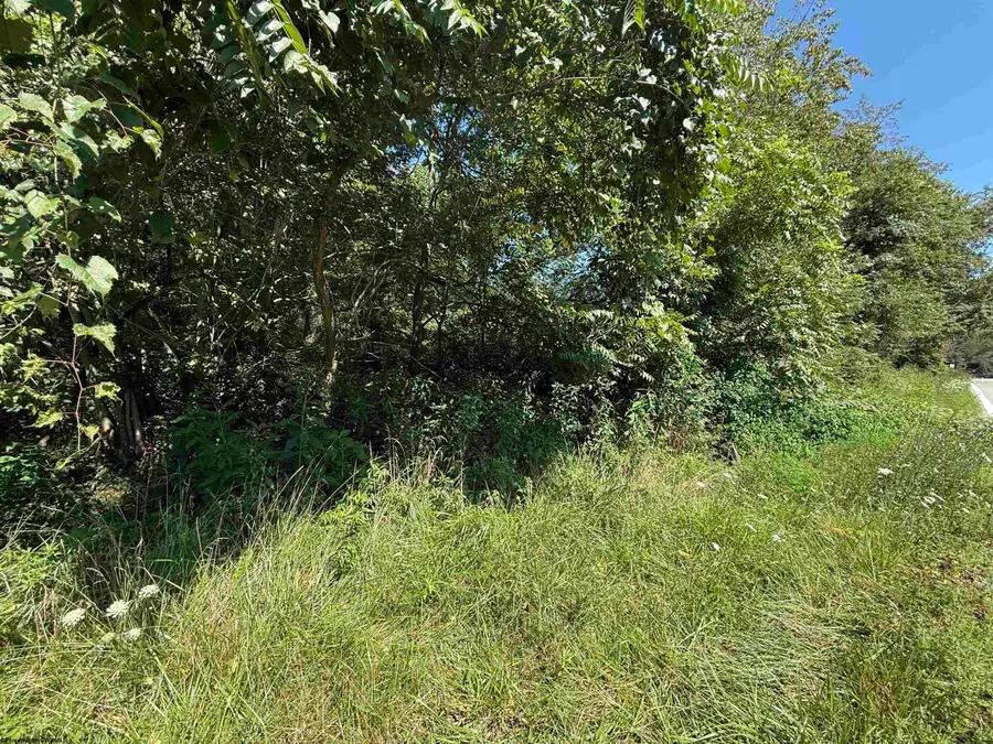 TBD Simpson Road, Flemington, WV 26347 - #3