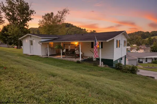 138 Springdale Street, Grafton, WV 26534-000