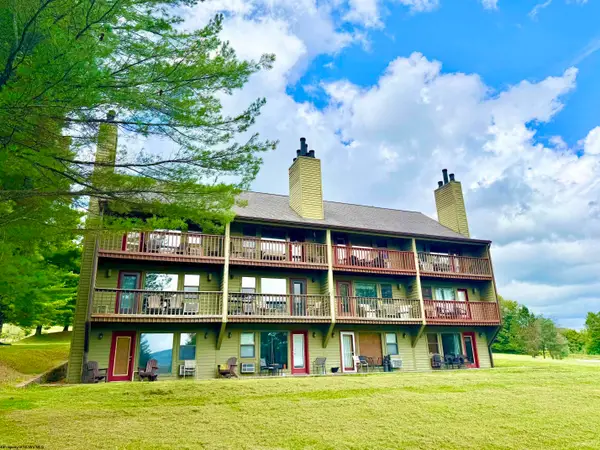121 Grizzly Way, Davis, WV 26260