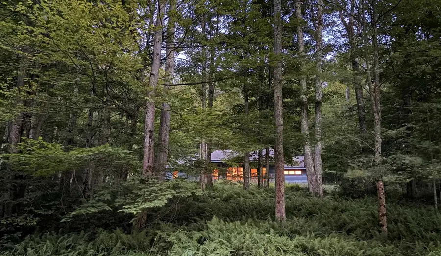 626 Sand Run Road, Davis, WV 26260 - #2