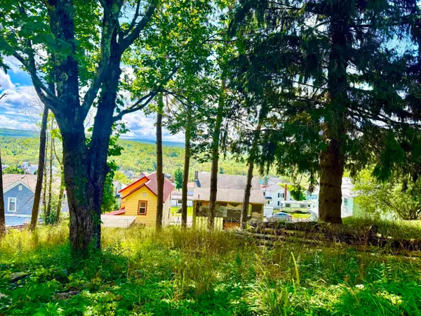 Lot 7 Groundhog Alley, Davis, WV 26260-0000