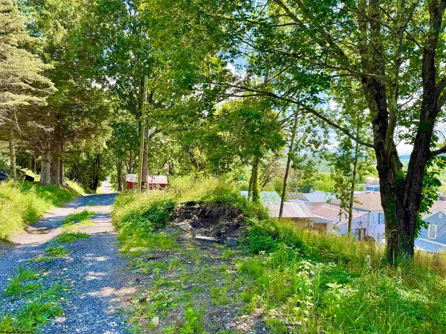 Lot 5 Groundhog Alley, Davis, WV 26260-0000 - #3