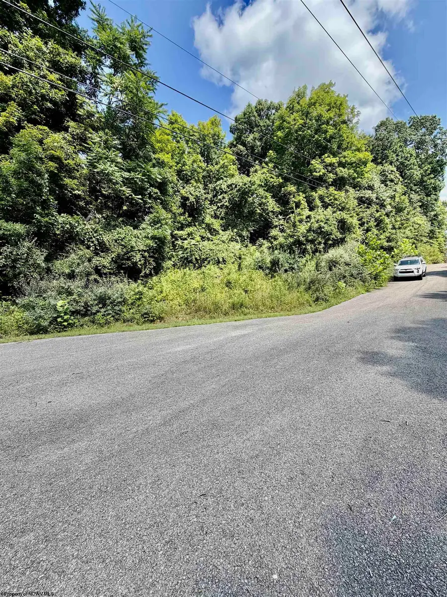212 Stoney Lane, Morgantown, WV 26508 - #3