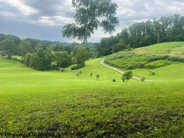139 Vineyard Lane, Fairmont, WV 26554 - #1