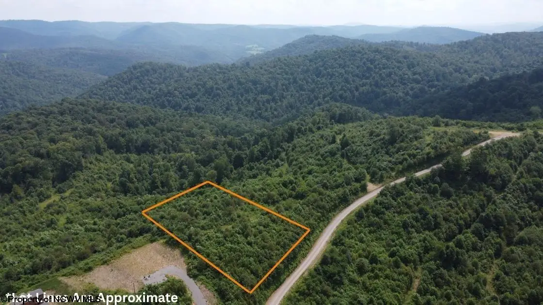 31 Burch Hill Road, Terra Alta, WV 26764 - #1