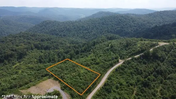 31 Burch Hill Road, Terra Alta, WV 26764