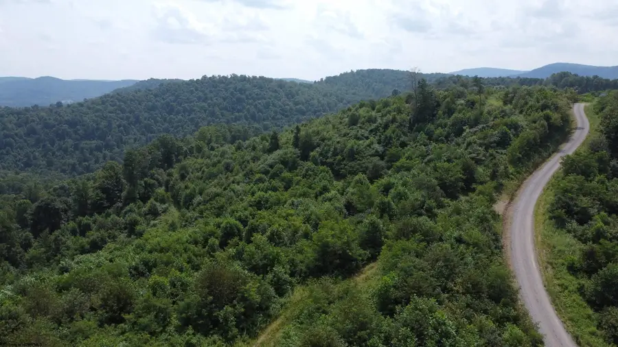 31 Burch Hill Road, Terra Alta, WV 26764 - #2