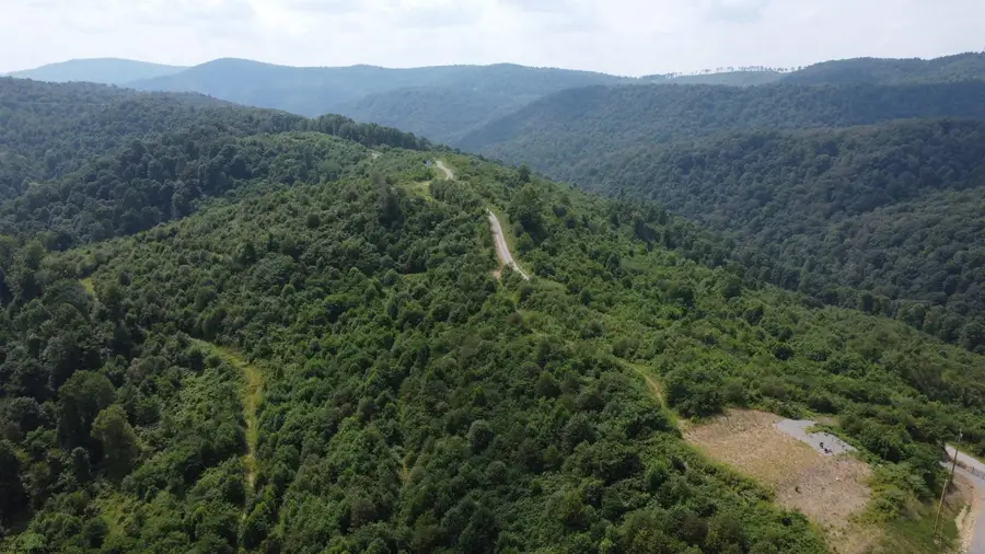31 Burch Hill Road, Terra Alta, WV 26764 - #3
