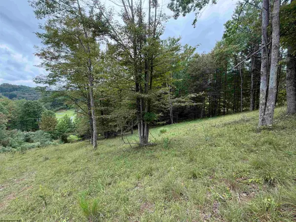 000 Fawn Lane, Buckhannon, WV 26201