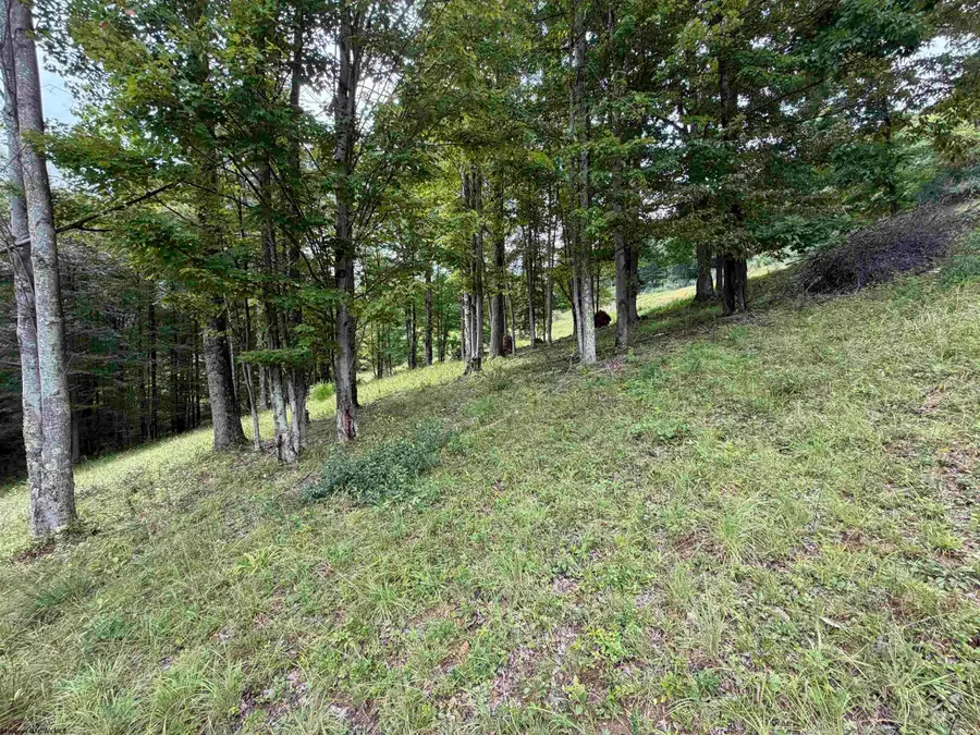 000 Fawn Lane, Buckhannon, WV 26201 - #2