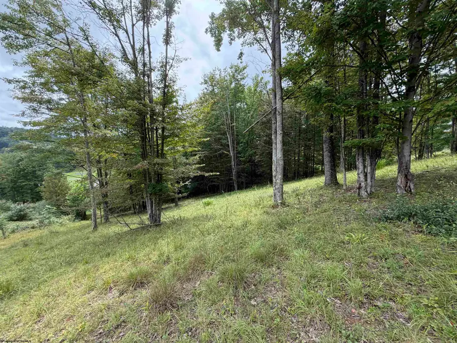 000 Fawn Lane, Buckhannon, WV 26201 - #3