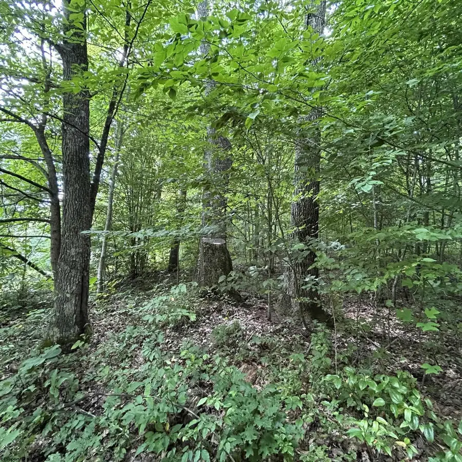 TBD Big Bend Drive, Kingwood, WV 26537 - #2