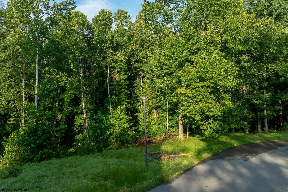 247 Coventry Drive, Bridgeport, WV 26330 - #1