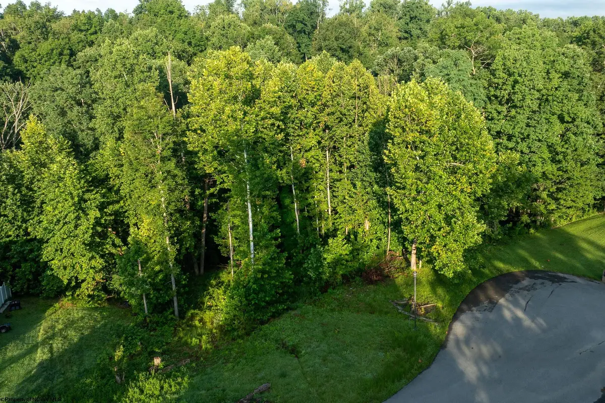245 Coventry Drive, Bridgeport, WV 26330 - #1